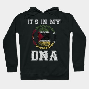 Mozambique  It's In My DNA - Gift for Mozambican From Mozambique Hoodie